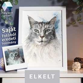   • ELKELT! • Maine Coon portré - Eredeti akvarell festmény