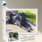 Kutya festmény a saját fotód alapján – kézzel festett eredeti akvarell festmény művészi ajándék 1 vagy 2 kisállatról, több méretben, ajándék kerettel