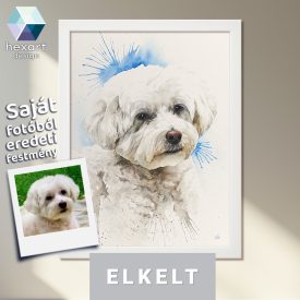   • ELKELT! • Bichon kutya portré - Eredeti akvarell festmény