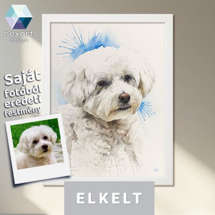 • ELKELT! • Bichon kutya portré - Eredeti akvarell festmény