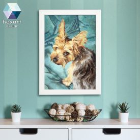 Yorkie portré 01 - nyomat / Yorkshire terrier