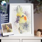 Saját Fotóból Eredeti Festmény - Ajándék Kupon / Voucher