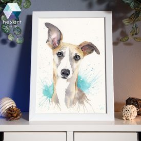 Whippet/agár portré - eredeti akvarell festmény