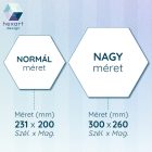 Hexart Plants fali dekoráció - narancs-zöld