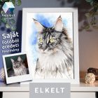 • ELKELT! • Maine Coon portré - Eredeti akvarell festmény