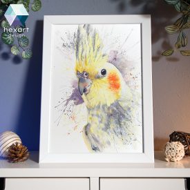 Nimfapapagáj portré - eredeti akvarell festmény