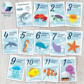 Vízi világ babakártyák - egyedi megérkeztem szöveggel