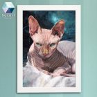 Szfinx cica portré - nyomat