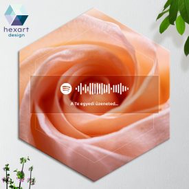   Interaktív Spotify-s zenés dekoráció (6 különböző virág háttérrel, egyedi szöveggel és zenével)