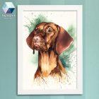 Vizsla portré - nyomat