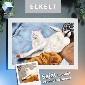 • ELKELT! • Cica portré - Eredeti akril festmény