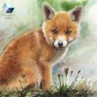 Rókakölyök - eredeti akvarell festmény