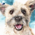 • ELKELT! • Terrier kutyus portré - Eredeti akvarell festmény