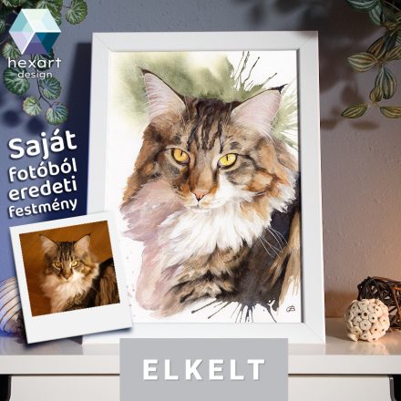 • ELKELT! • Maine Coon cica portré - Eredeti akvarell festmény