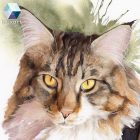 • ELKELT! • Maine Coon cica portré - Eredeti akvarell festmény