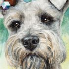 • ELKELT! • Toto a törpe schnauzer emlékőrző portréja - Eredeti akvarell festmény