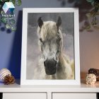 Ló portré - eredeti gouache festmény