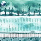 Absztrakt 03 - eredeti akvarell festmény