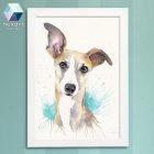 Whippet/agár portré - nyomat