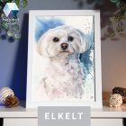 • ELKELT! • Máltai kutyus portré - Eredeti akvarell festmény