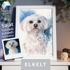 • ELKELT! • Máltai kutyus portré - Eredeti akvarell festmény