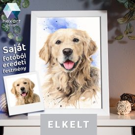   • ELKELT! • Berci a golden retriever portréja - Eredeti akvarell festmény