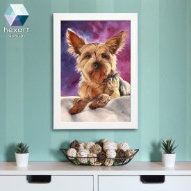 Yorkshire terrier portré 02 - nyomat / Yorkie