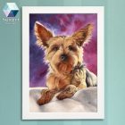Yorkshire terrier portré 02 - nyomat / Yorkie
